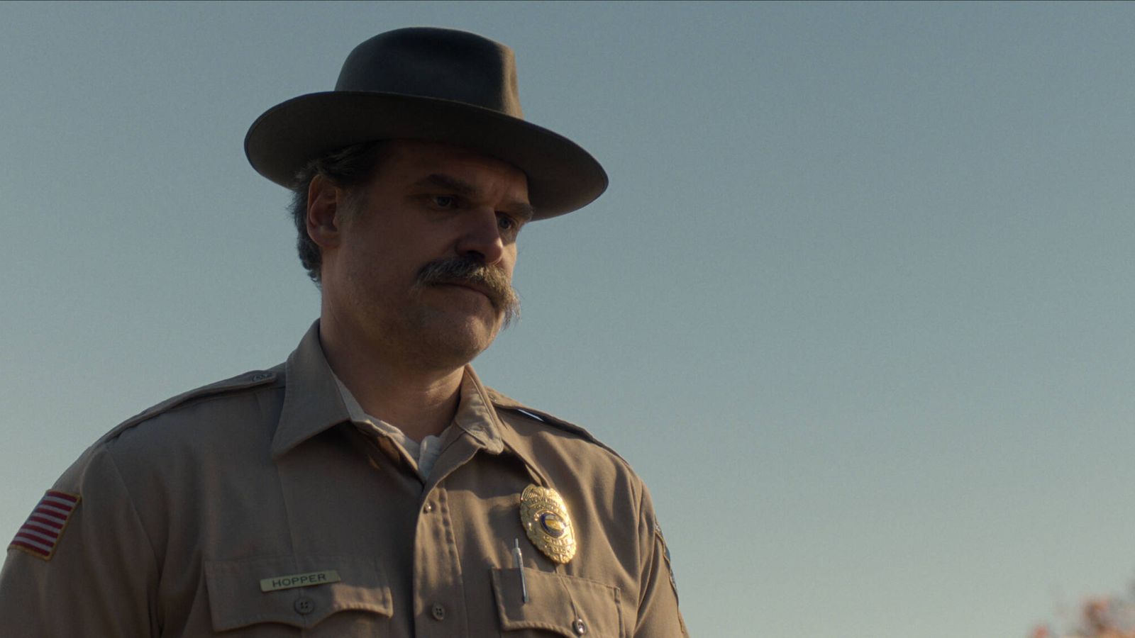 David Harbour no era la primera opción: el actor que estuvo a punto de ...