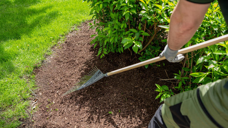 What to do if you find white foam in your mulch