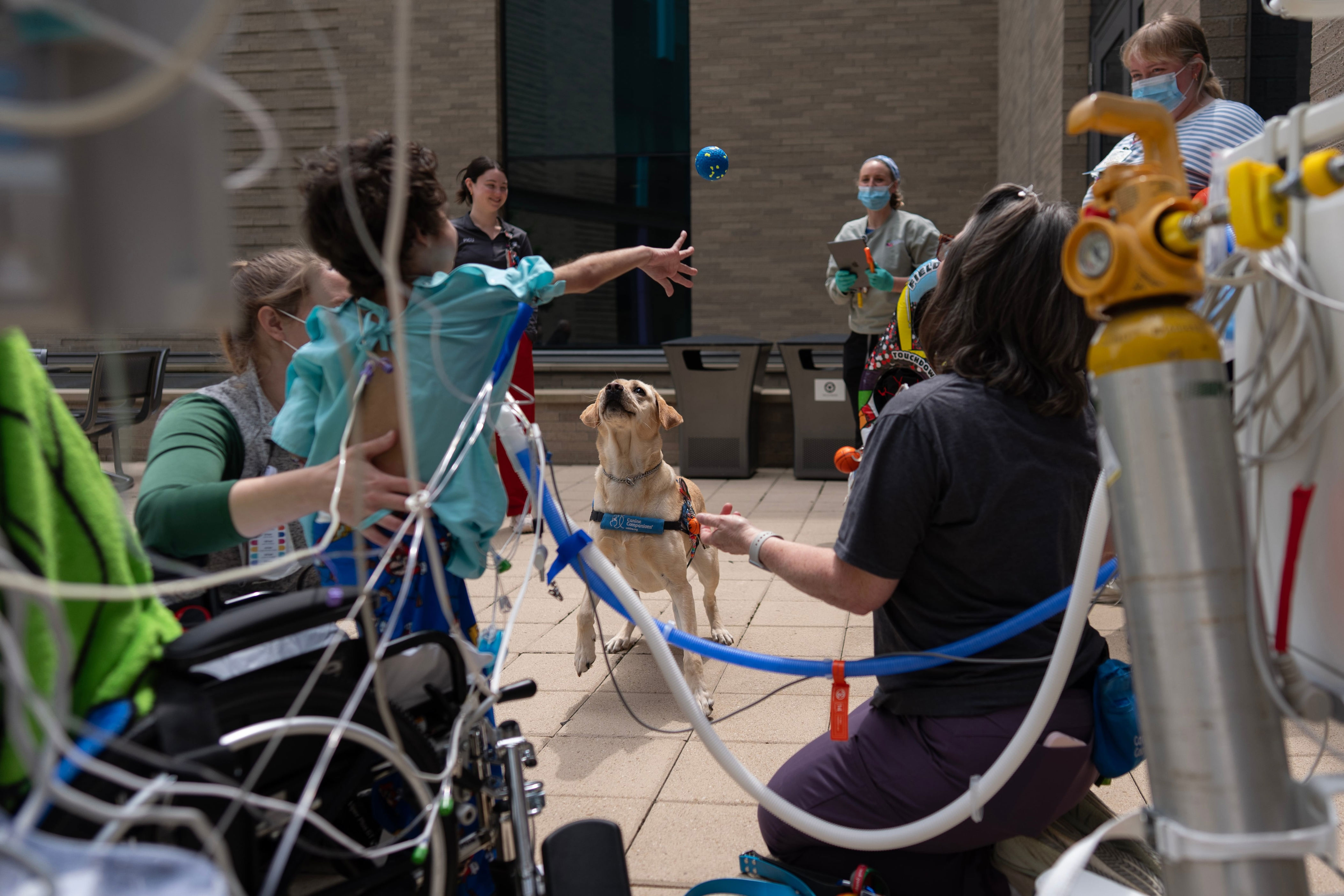 Good dog! More children’s hospitals turn to furry caregivers to help ...