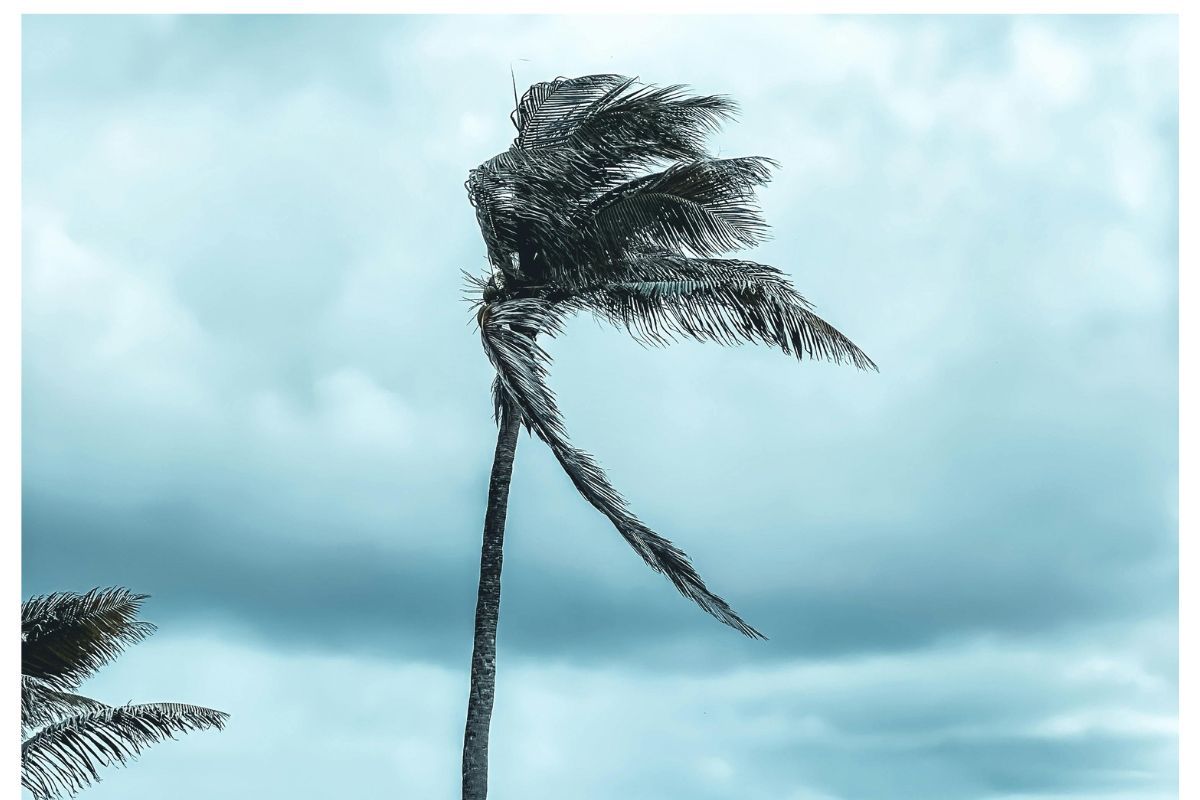 Weather: Partly cloudy with isolated showers and shifting winds