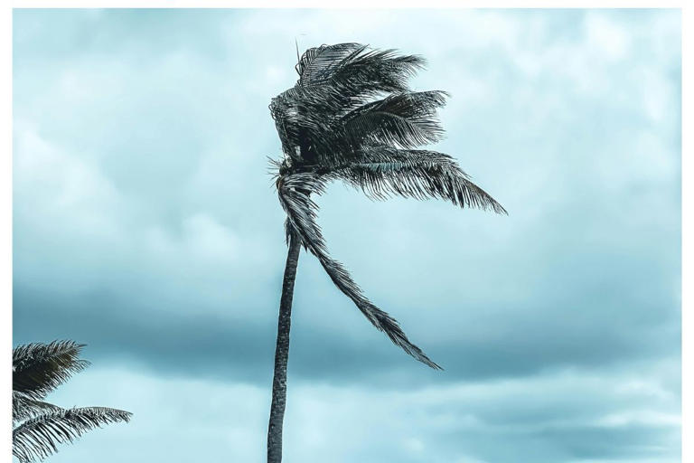 Weather: Partly cloudy with isolated showers and shifting winds