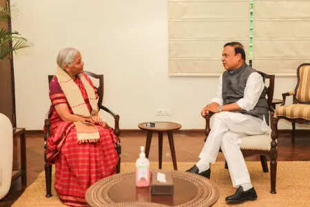 Sarma & Sitharaman Discuss Assam's Economic Growth Plans