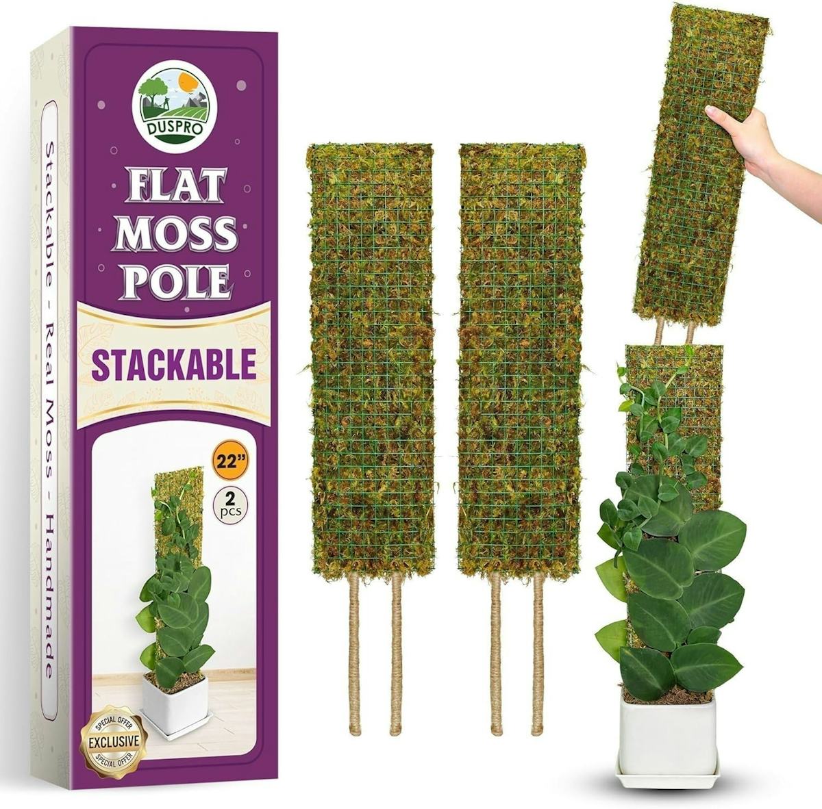 75 amazeballs things for your backyard that are surprisingly under $30 on Amazon