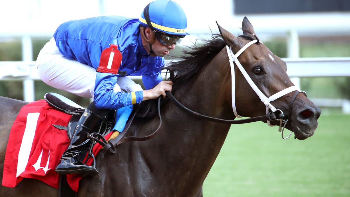 Weekend lineup: Stars turn out for Stephen Foster preview day