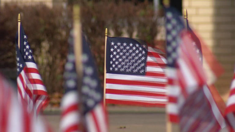Owensboro VFW post hosts annual remembrance field of poppies