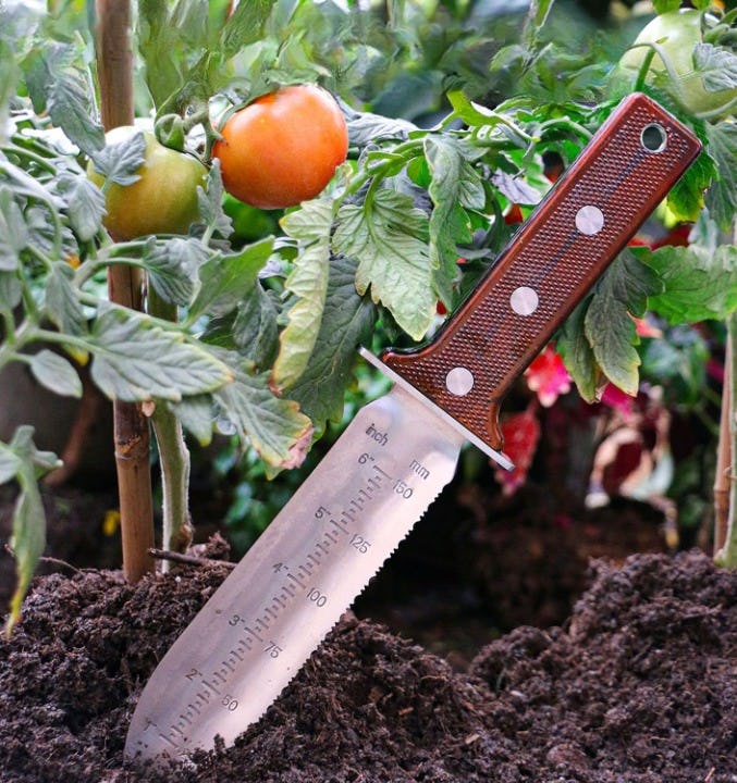 The 75 Most Impressive Backyard Upgrades We Found on Amazon Under $30