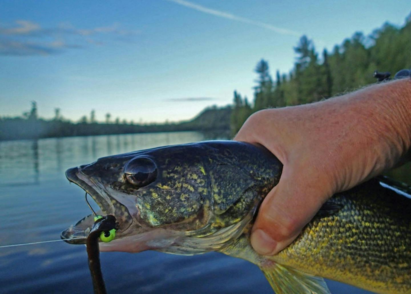Anderson: Where — and how — to catch fish in Minnesota this holiday weekend