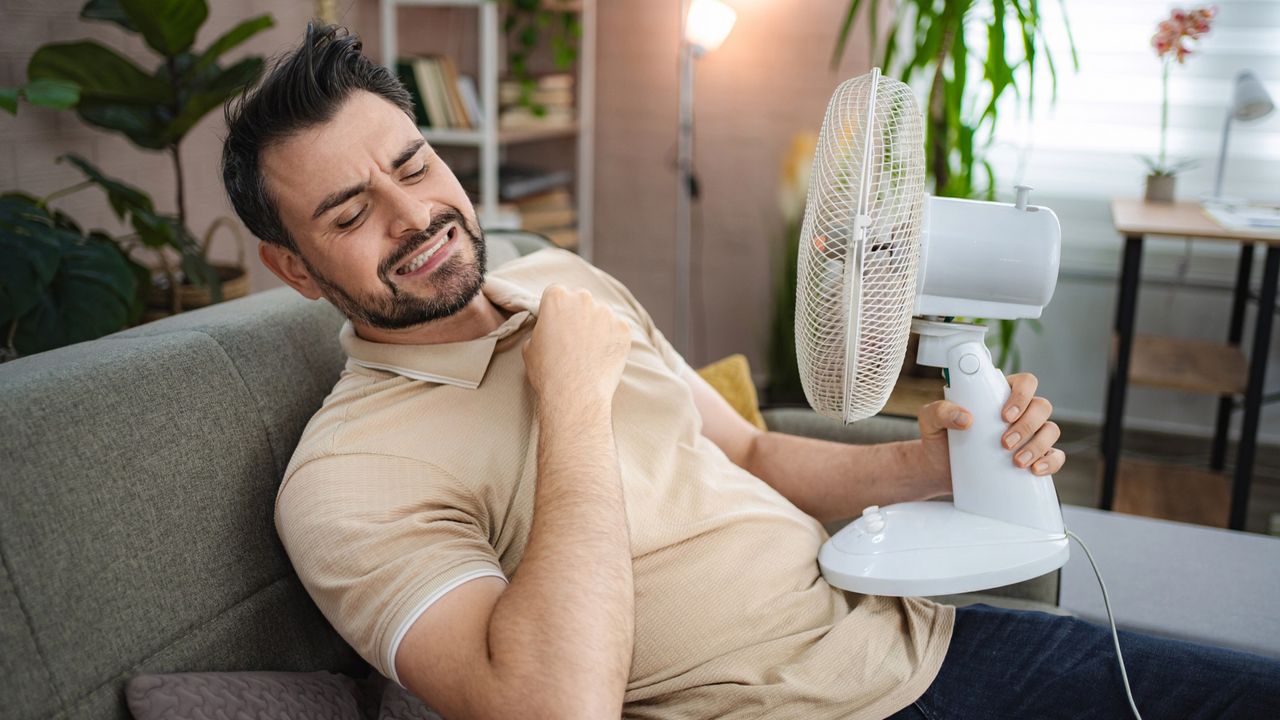 Are you using your fan all wrong? 3 top tips to help you keep your home ...