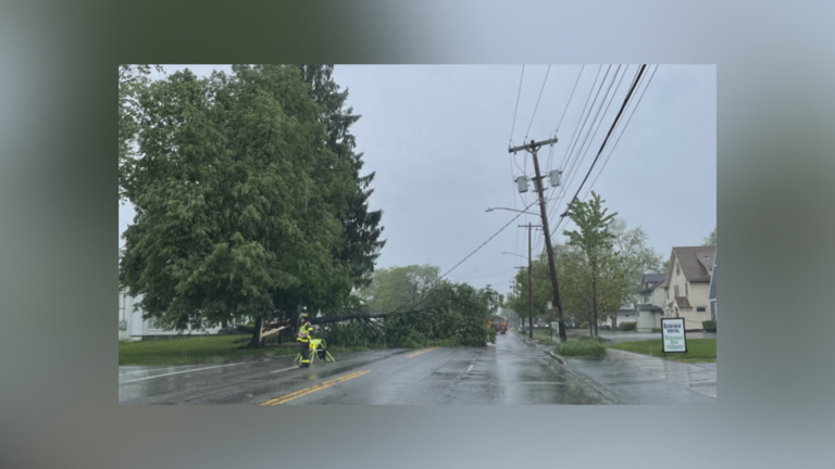 Fallen trees and downed power lines block Rochester roads