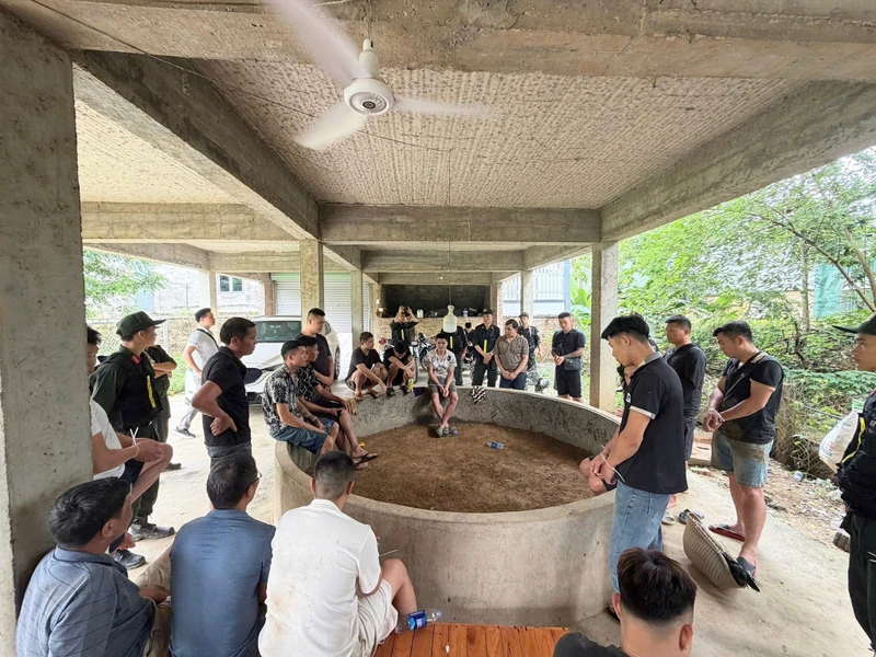 Công an Tuyên Quang triệt xoá sới gà, bắt giữ hàng chục đối tượng