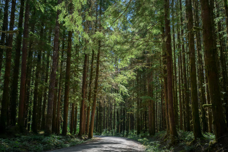 13 baffling national park disappearances that are still unsolved