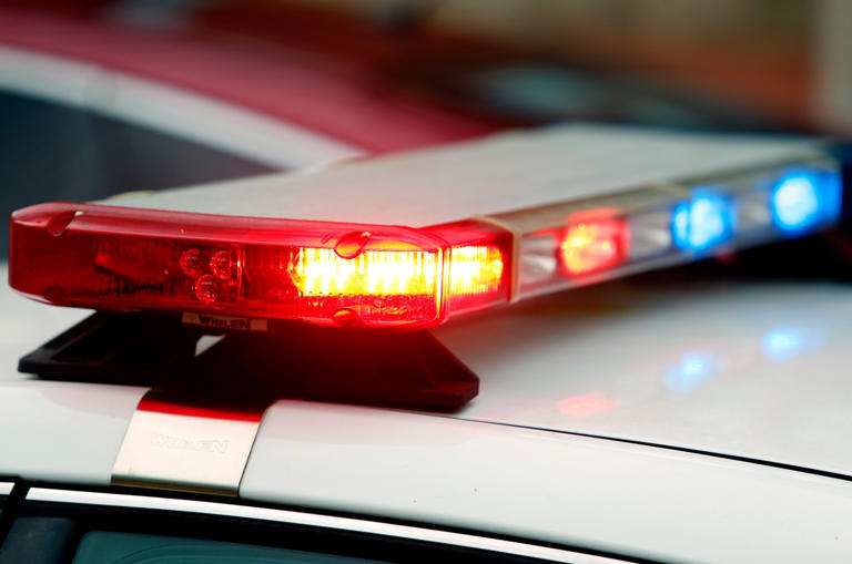 Woman dies after shooting at Fat Philly’s on Azalea Garden, suspect is ...