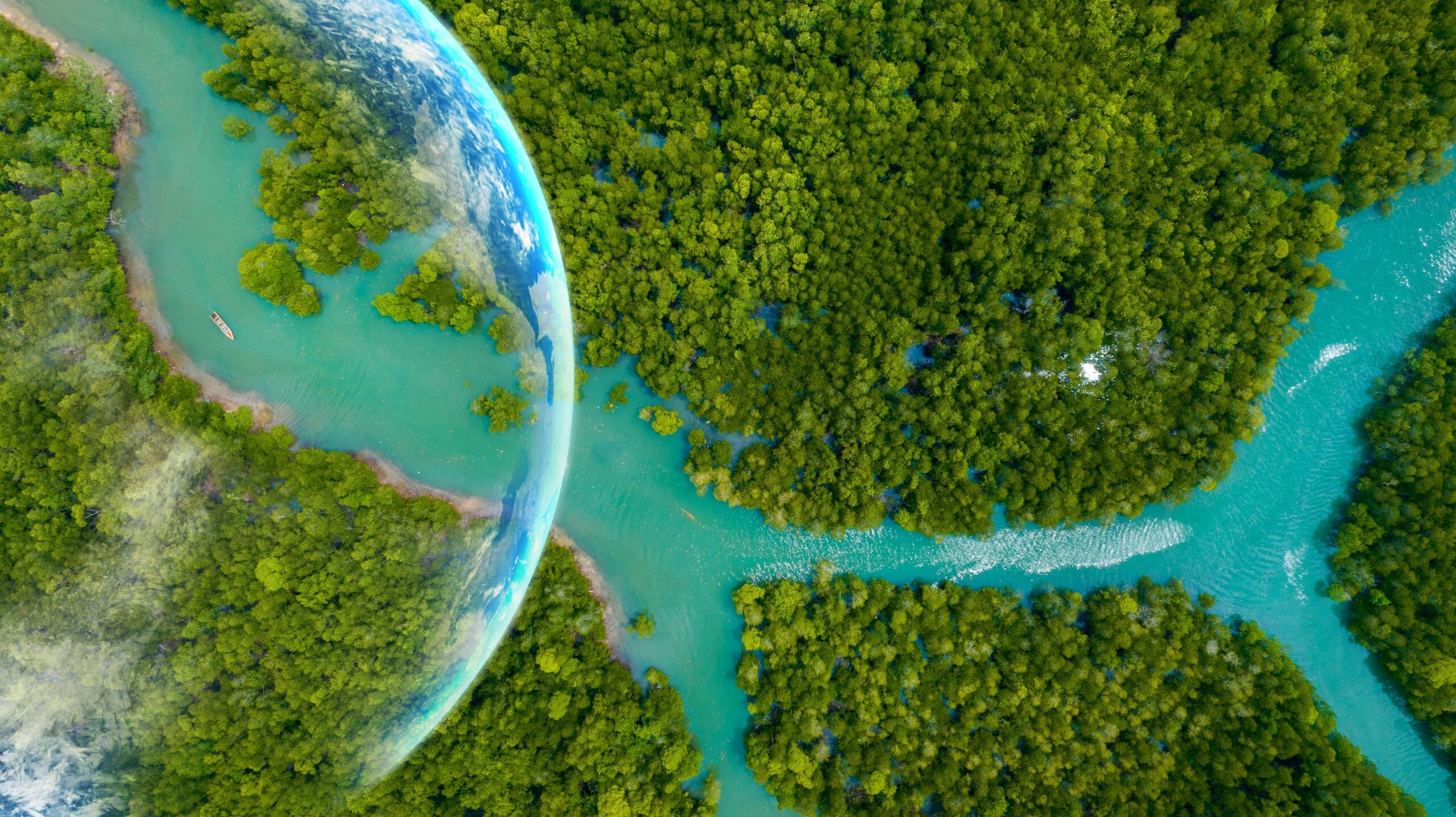 Researchers turn sunlight and CO2 into living biomass