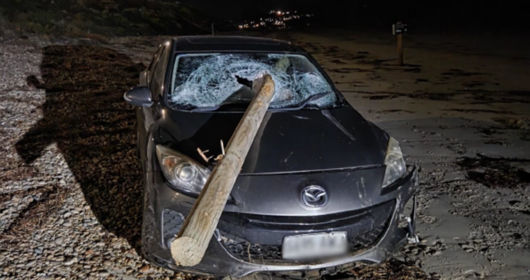 Images show the post completely speared through the windscreen.