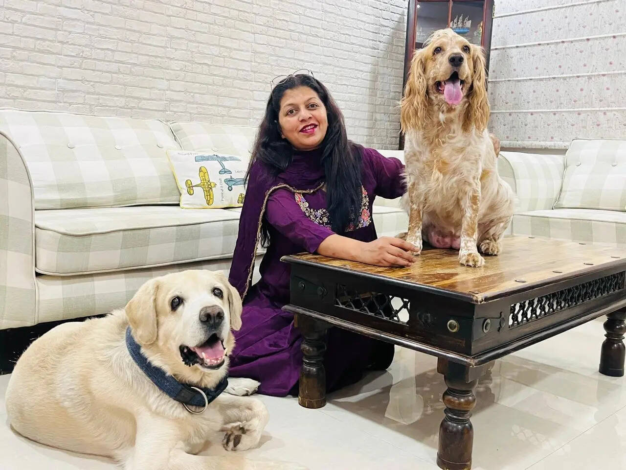 Meet rescue dogs who found their forever families