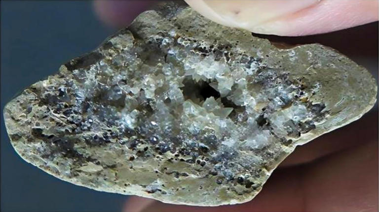 China scientists argue that harsh settings, not warm climates, drive ...