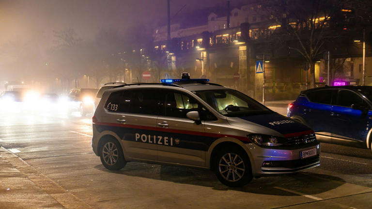 Die Polizei war in Wien bei gleich vier Raubüberfällen in nur einer Nacht in drei Bezirken im Einsatz.