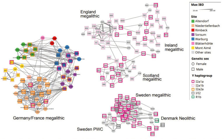 'Patchwork families' existed more than 5,000 years ago, Neolithic DNA ...