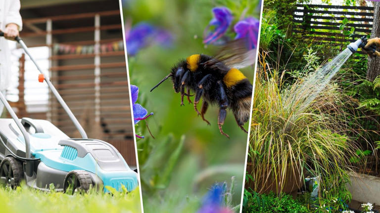 Are you guilty of these 5 gardening habits that starve bees?