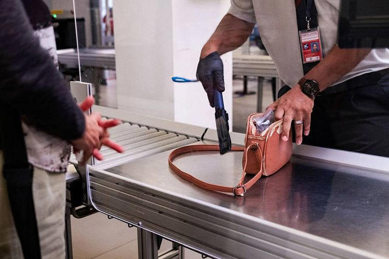Travellers returning to UK fined £5k if they bring these items back