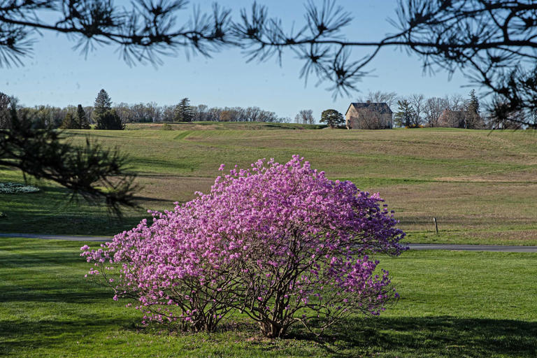 6 scenic Delaware road trips to take this summer