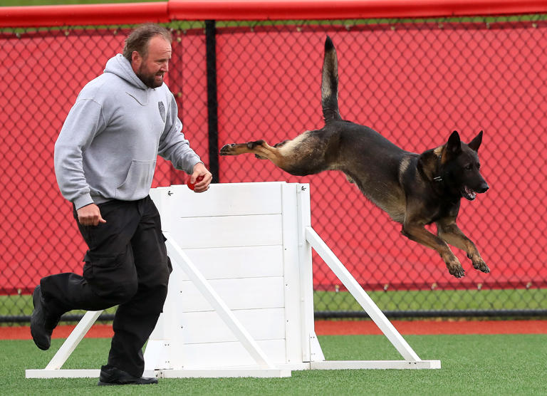 Police K9 challenge highlights four-legged officer skills
