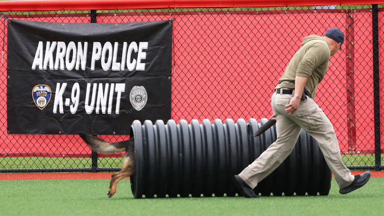 Police K9 challenge highlights four-legged officer skills