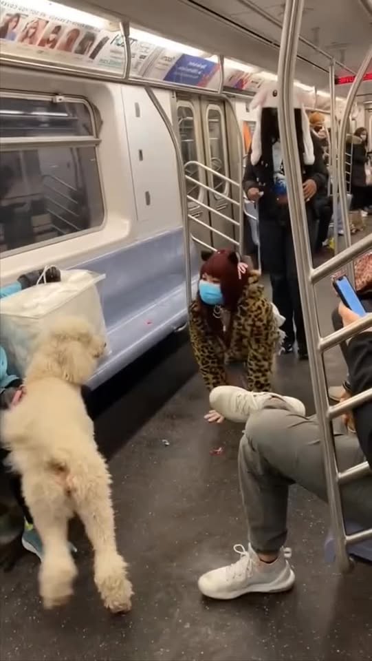 I should have taken the bus