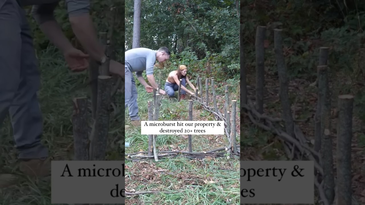 Transform storm-damaged trees into valuable homestead assets