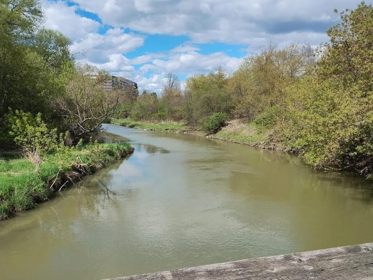 Why and where to walk in Toronto