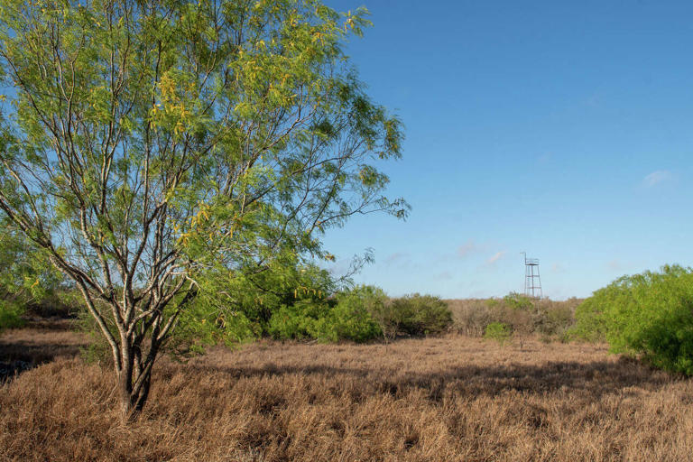 Massive 7,400-acre Texas hunting ranch hits market for $20M