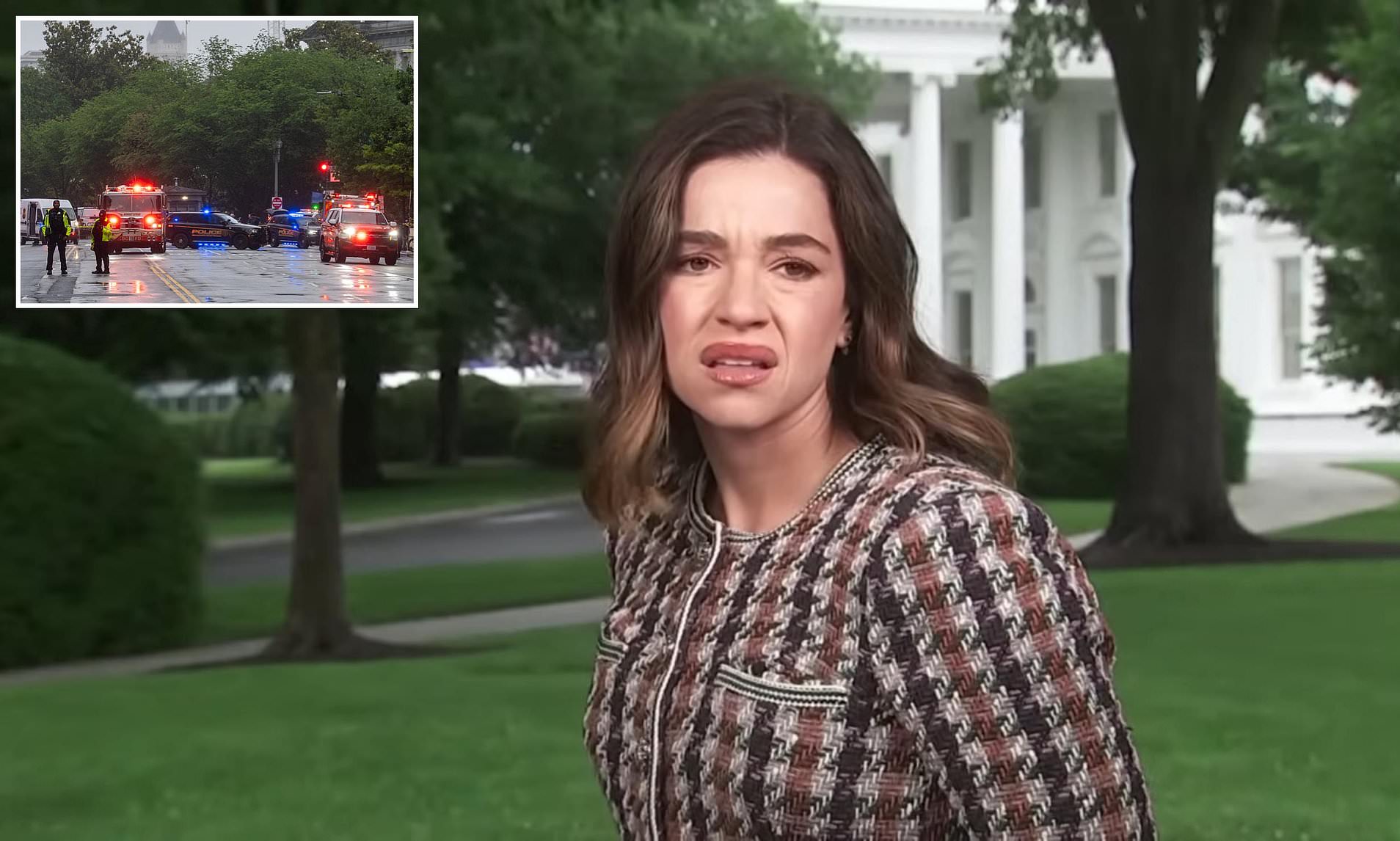 NBC reporter is ridiculed for her bizarre reaction on air to White ...