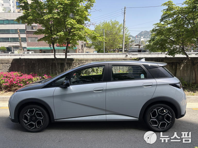 [시승기] BYD 돌핀, 2000만원대에 이 옵션이? 극강의 가성비 전기차