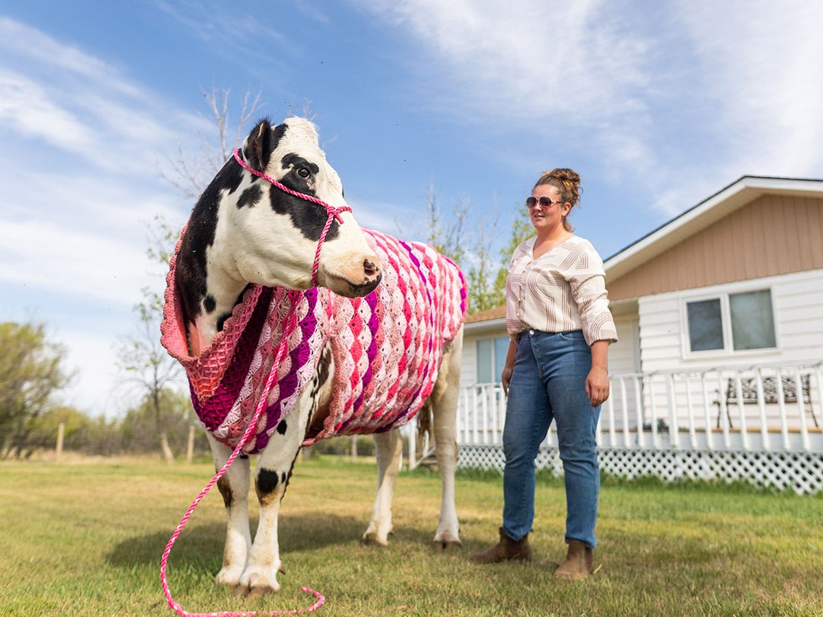 Calgary Marathon, cow sweaters and Calgary Stampeders Fan Fest: What ...