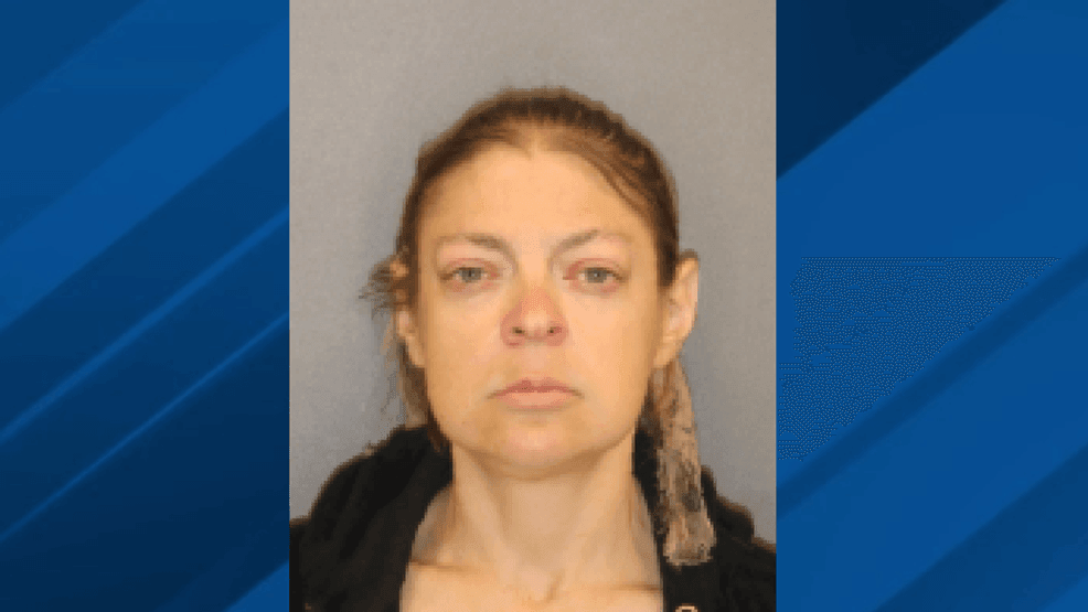 Woman faces multiple charges after camera alerts sheriff's office of ...