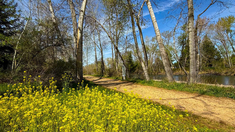 America's worst city for spring 2026 allergies is a Pacific Northwest ...
