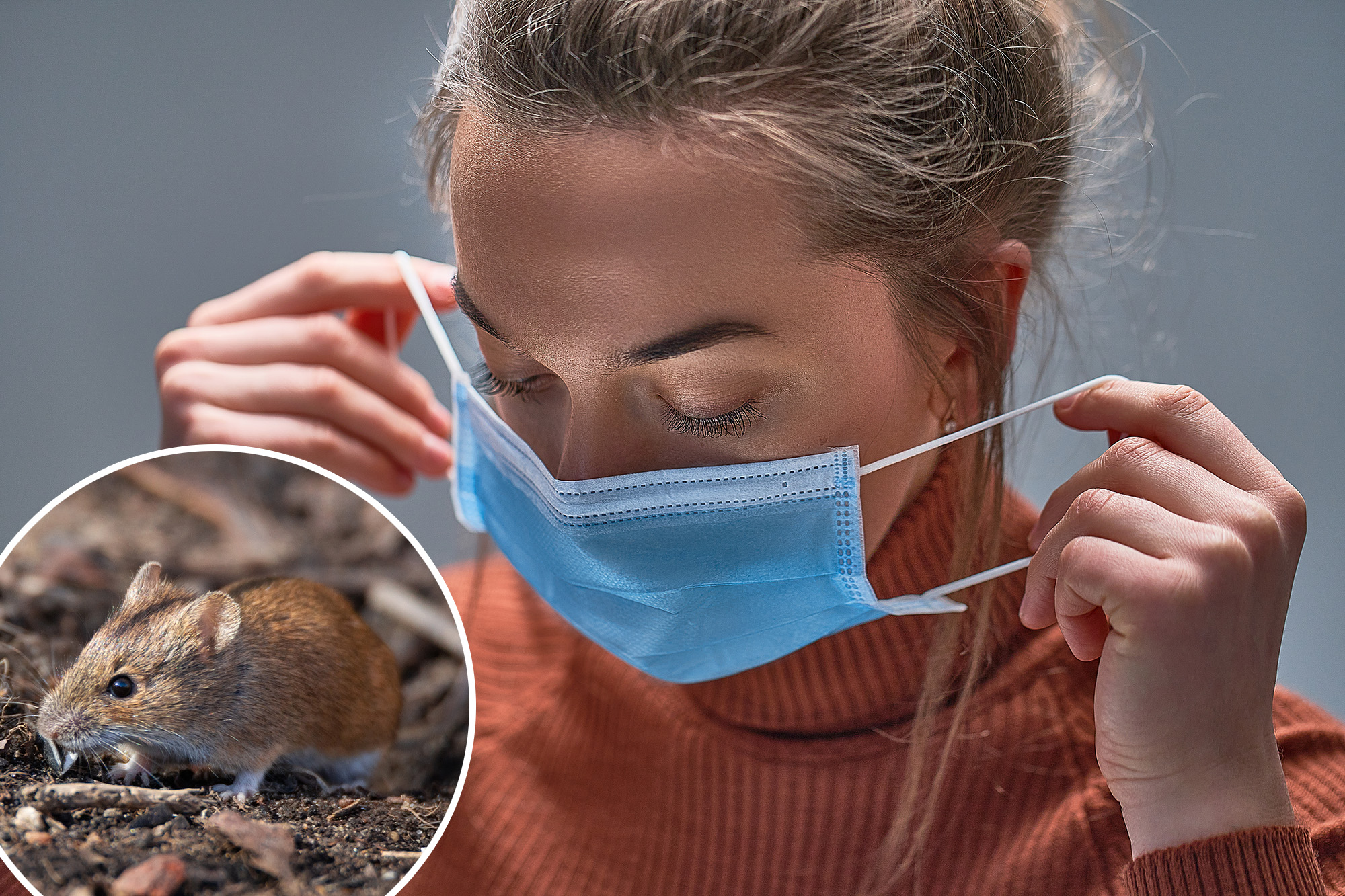 Hantavirus is gaining ground in the US, startling researchers ...