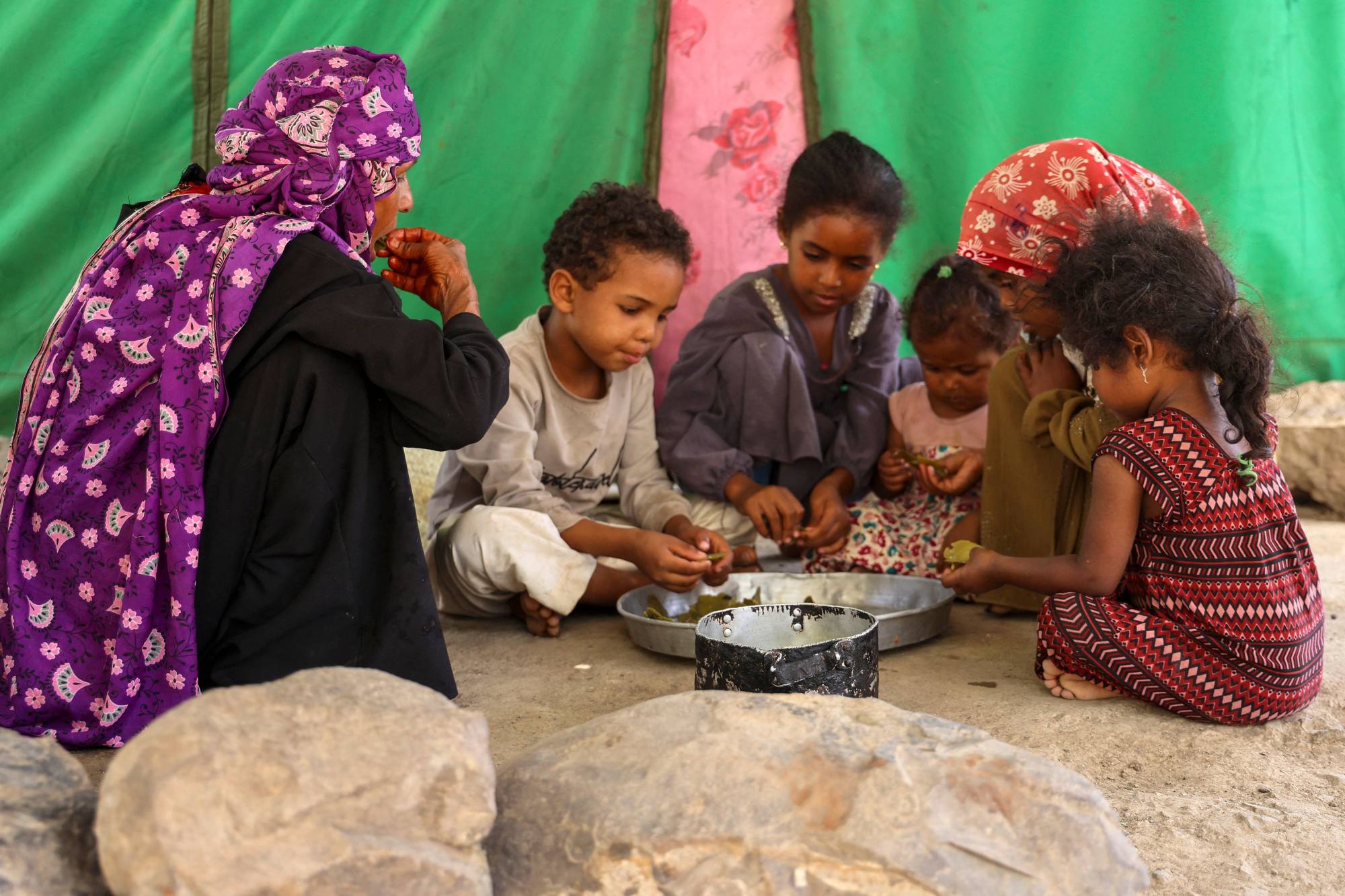 With no food aid, 65-year-old Saeedah Mohammed has to pick tree leaves near her displacement camp in southern Yemen to stave off her family's hunger. Photo: AFP
