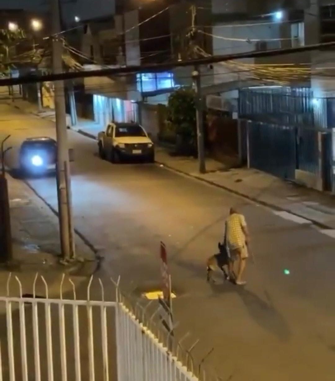 Capturan a sujeto que atropelló a adulto mayor y su mascota en Guayaquil