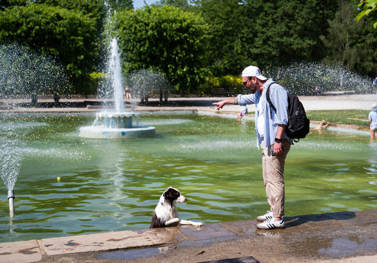 A dog cools off in the water fountains in Battersea Park, south-west London (James Manning/PA) (PA Wire)