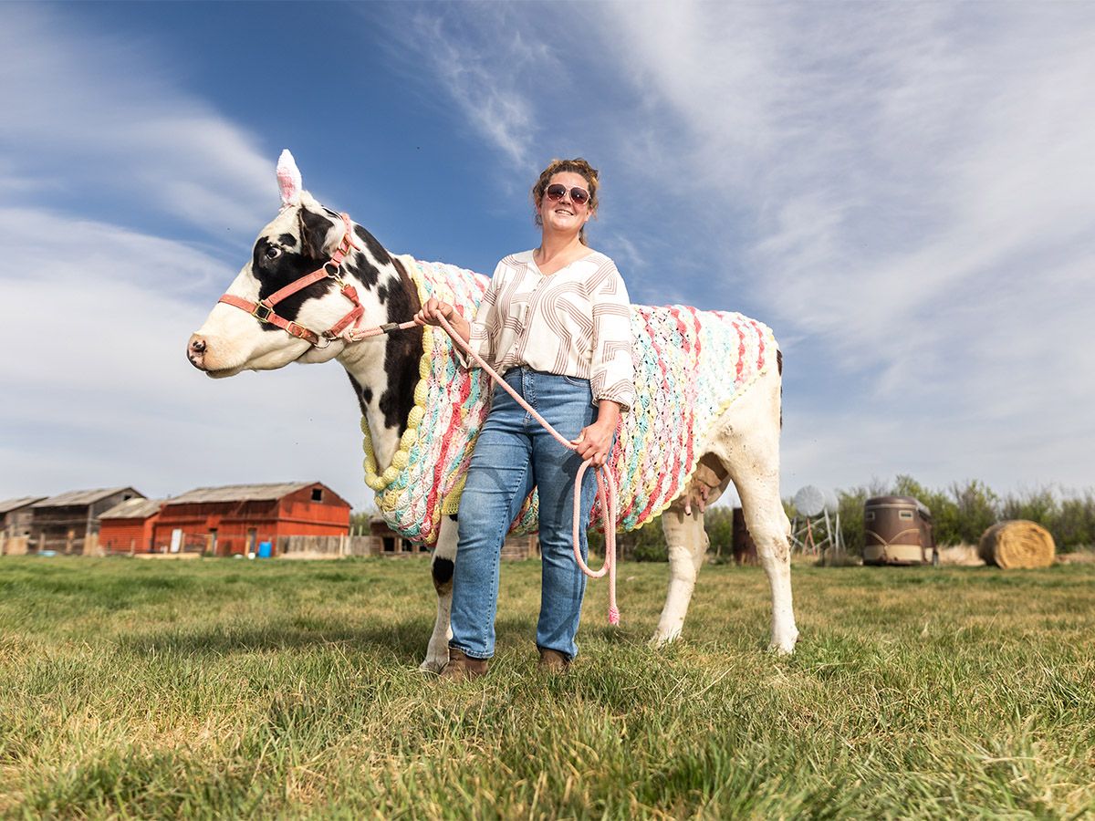 Calgary Marathon, cow sweaters and Calgary Stampeders Fan Fest: What ...