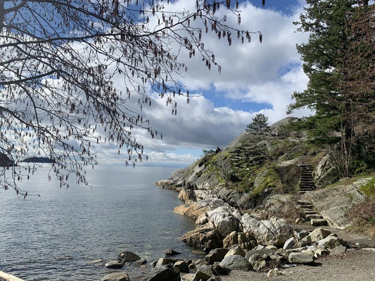 another-scuba-diver-dies-off-whytecliff-park-in-west-vancouver