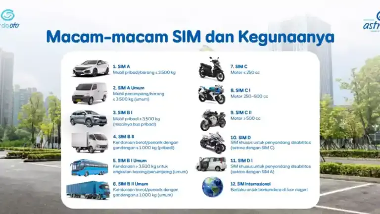 Kenali jenis-jenis SIM yang berlaku di Indonesia