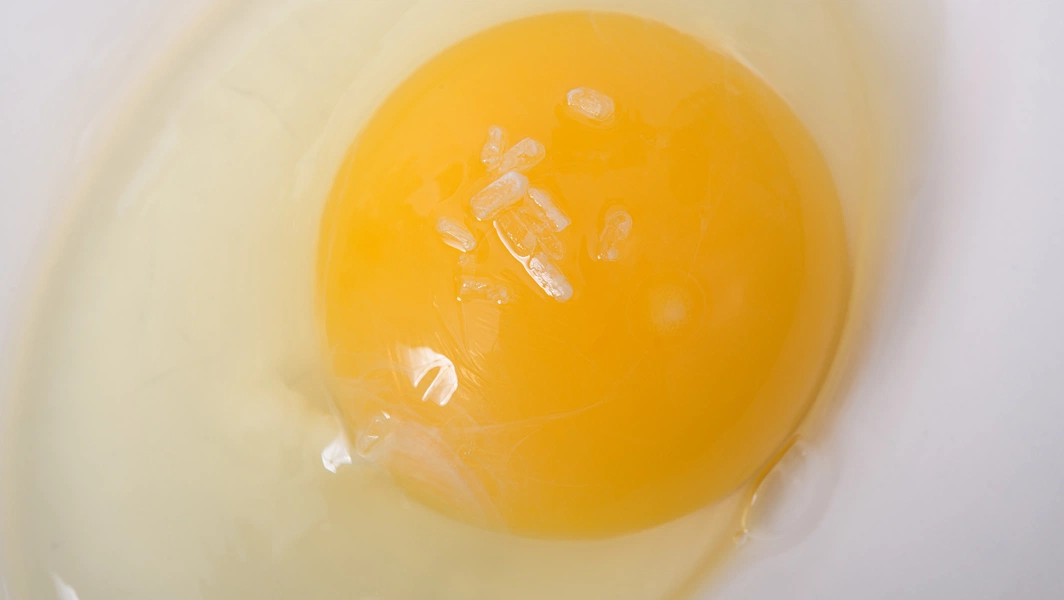 Egg fried rice secrets you’ll crave every week