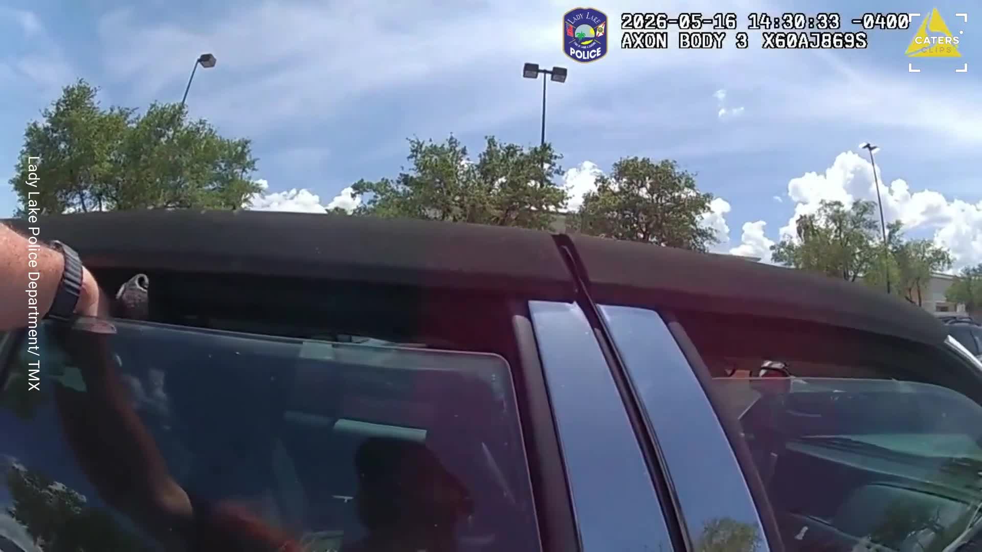Puppy rescued from hot car in Florida parking lot