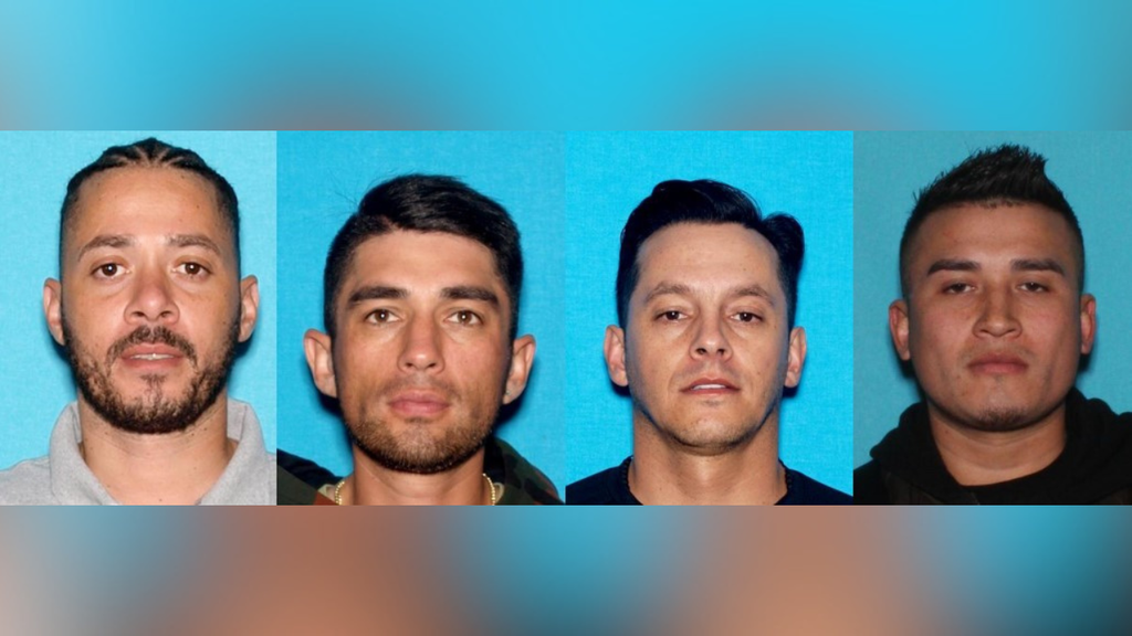 Four members of burglary crew arrested for alleged Southern California ...