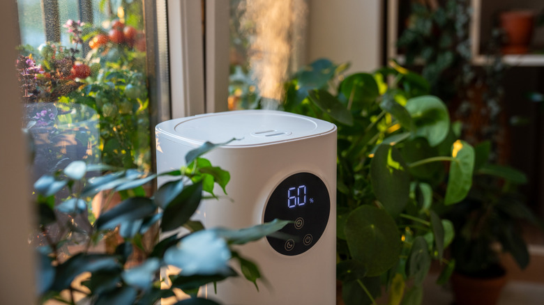 Can you use a humidifier in an air conditioned room?