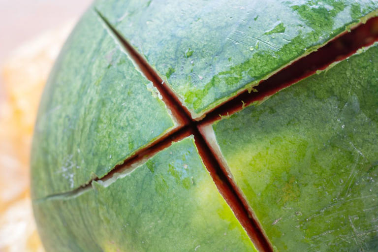 Why you should check a watermelon rind for cracks
