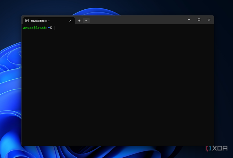 I ran Linux for two years without actually understanding it, and WSL2 ...
