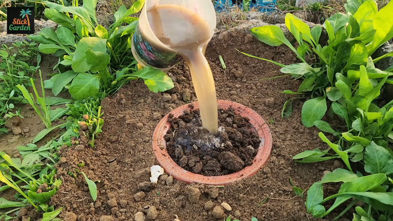 I started burying old terracotta pots in my garden and the soil ...